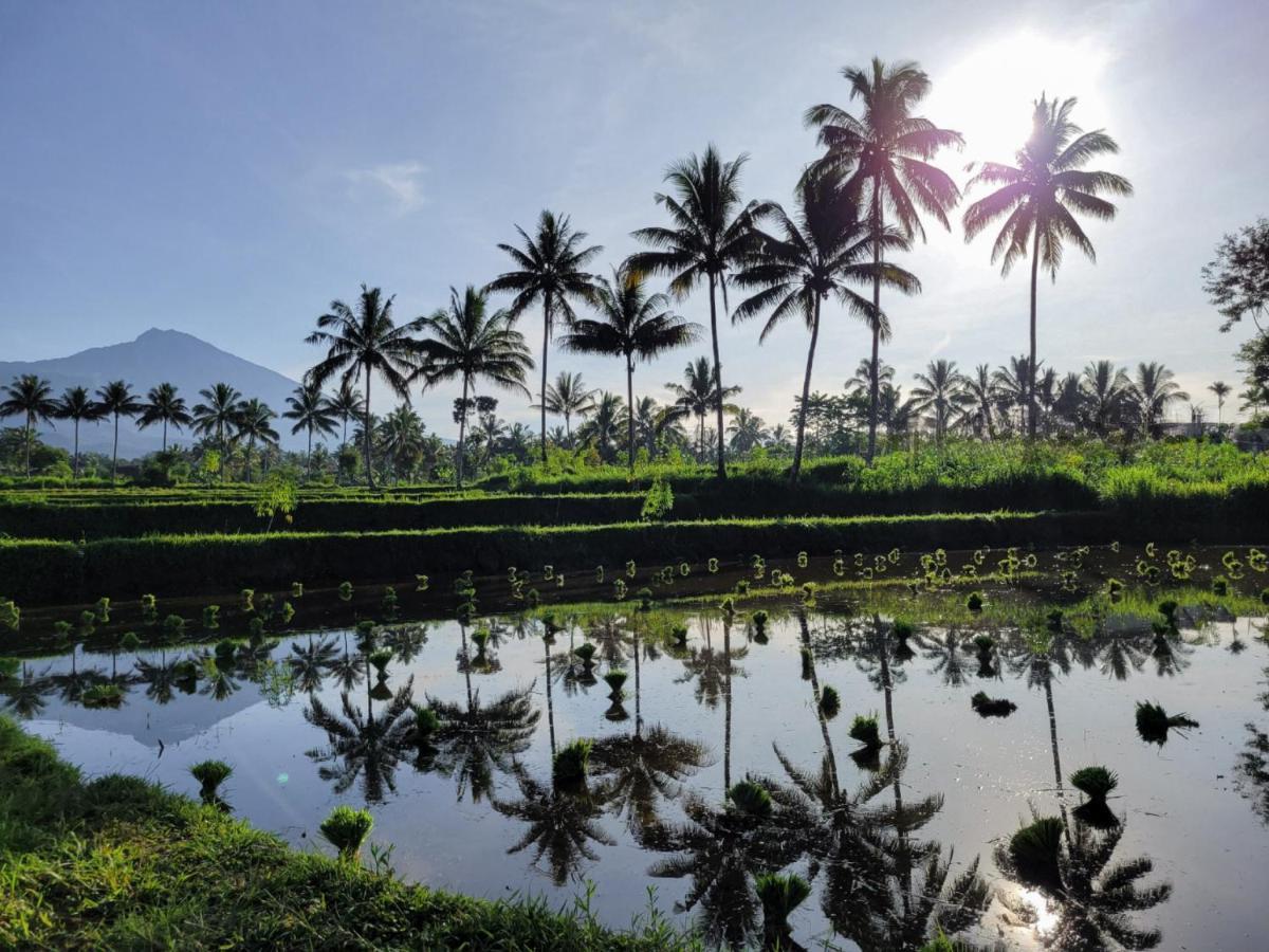 Hotel Les Rizieres Lombok - Tetebatu Zewnętrze zdjęcie