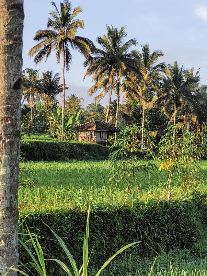 Hotel Les Rizieres Lombok - Tetebatu Zewnętrze zdjęcie