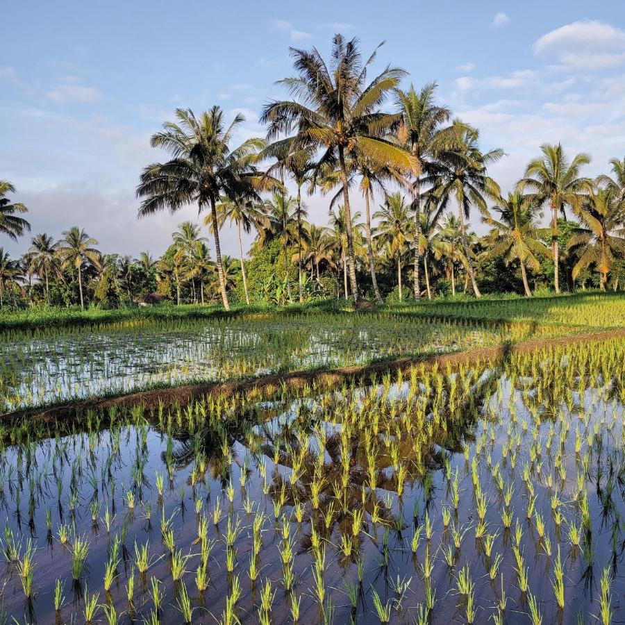 Hotel Les Rizieres Lombok - Tetebatu Zewnętrze zdjęcie